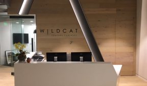 Wildcat-3